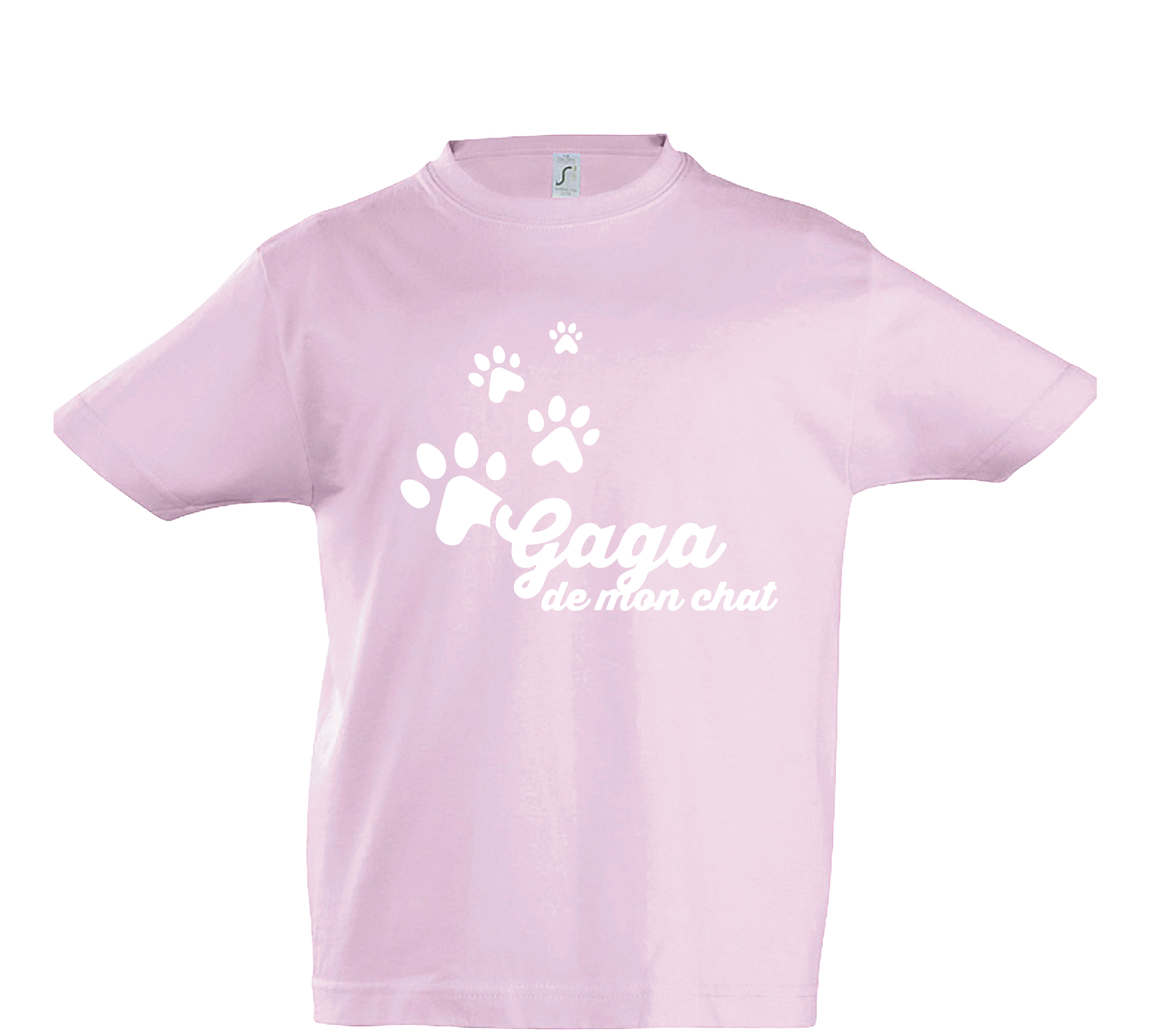 THSIRT ENF FRANCAIS MARS 2022-06