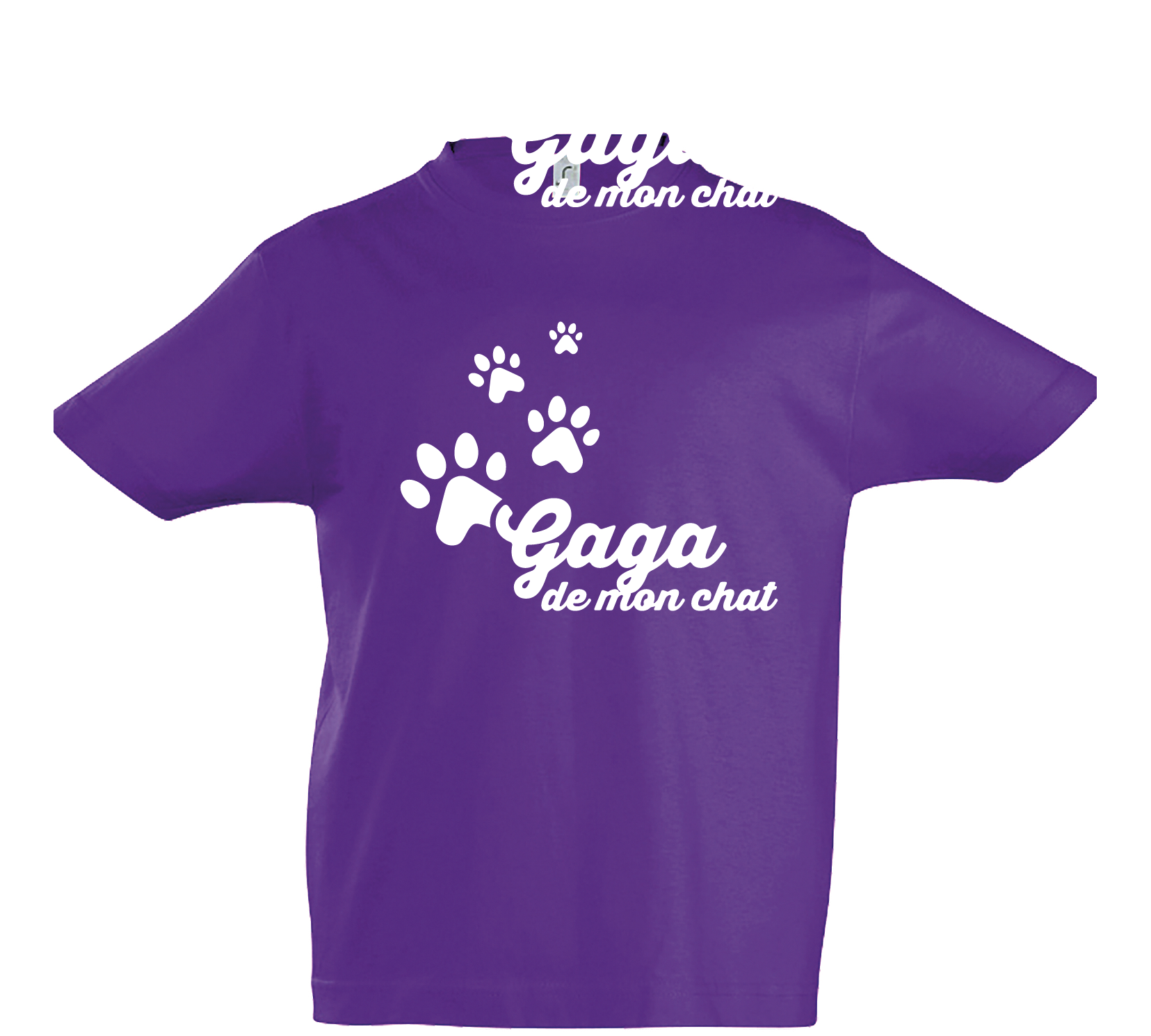 THSIRT ENF FRANCAIS MARS 2022-07