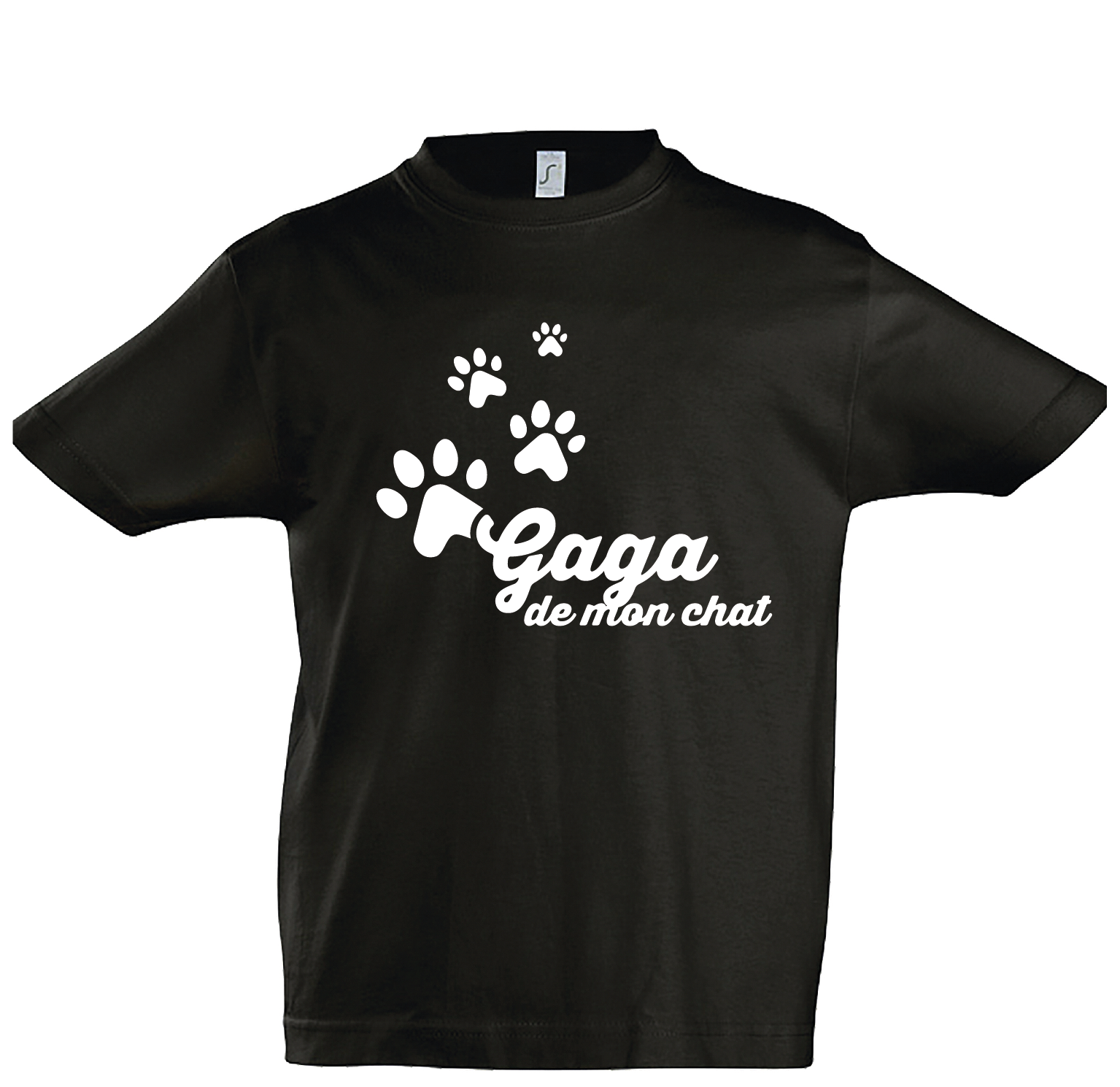 THSIRT ENF FRANCAIS MARS 2022-08