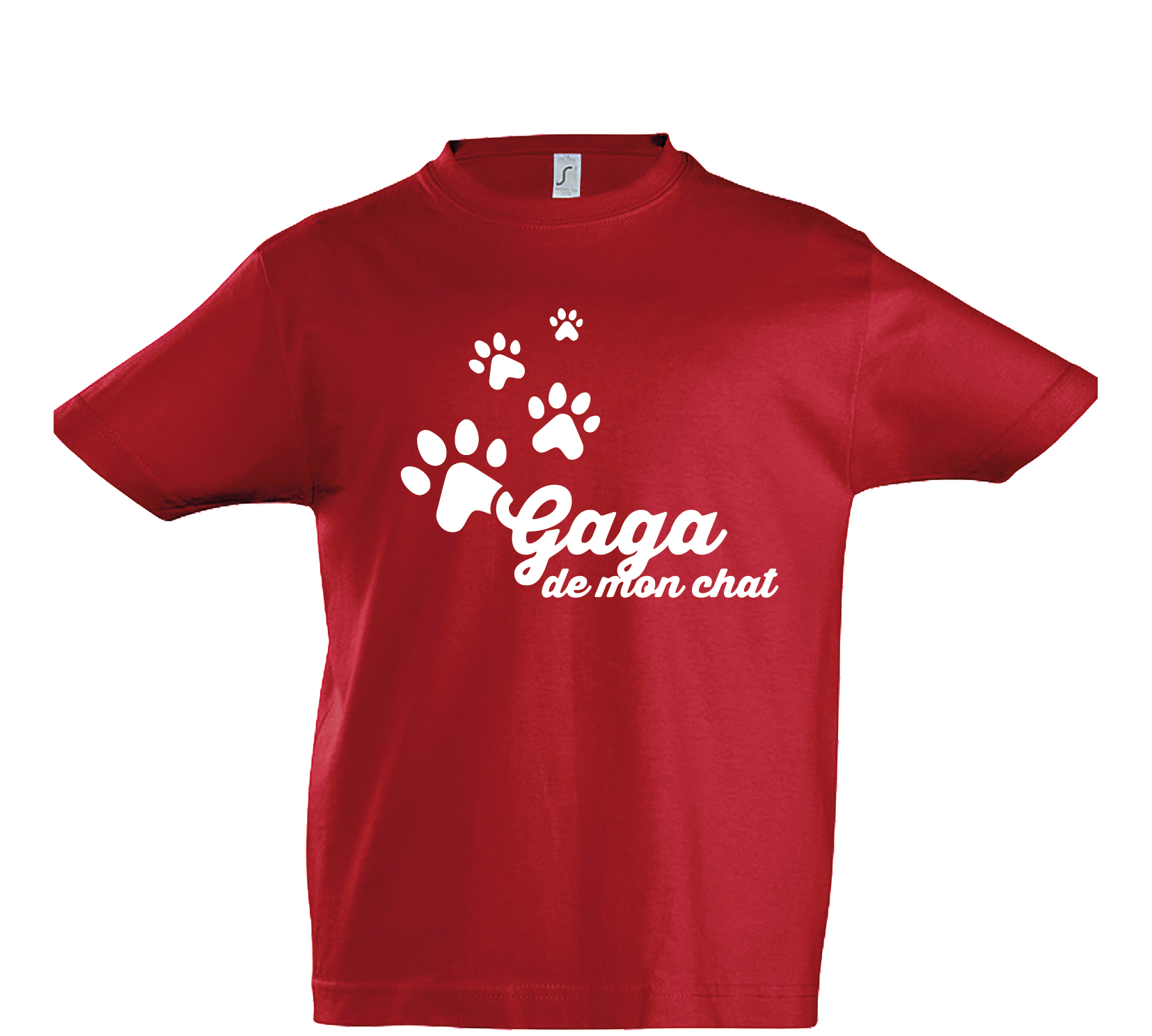 THSIRT ENF FRANCAIS MARS 2022-10