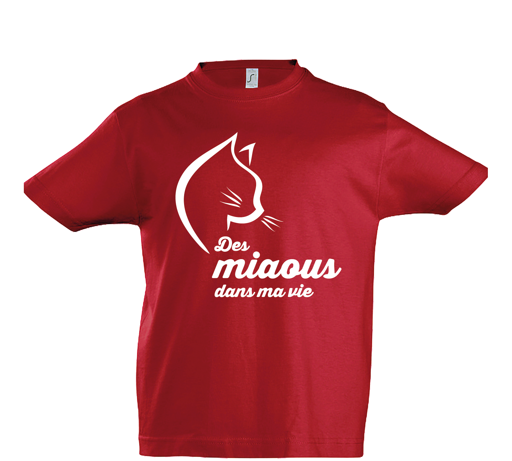 THSIRT ENF FRANCAIS MARS 2022-25