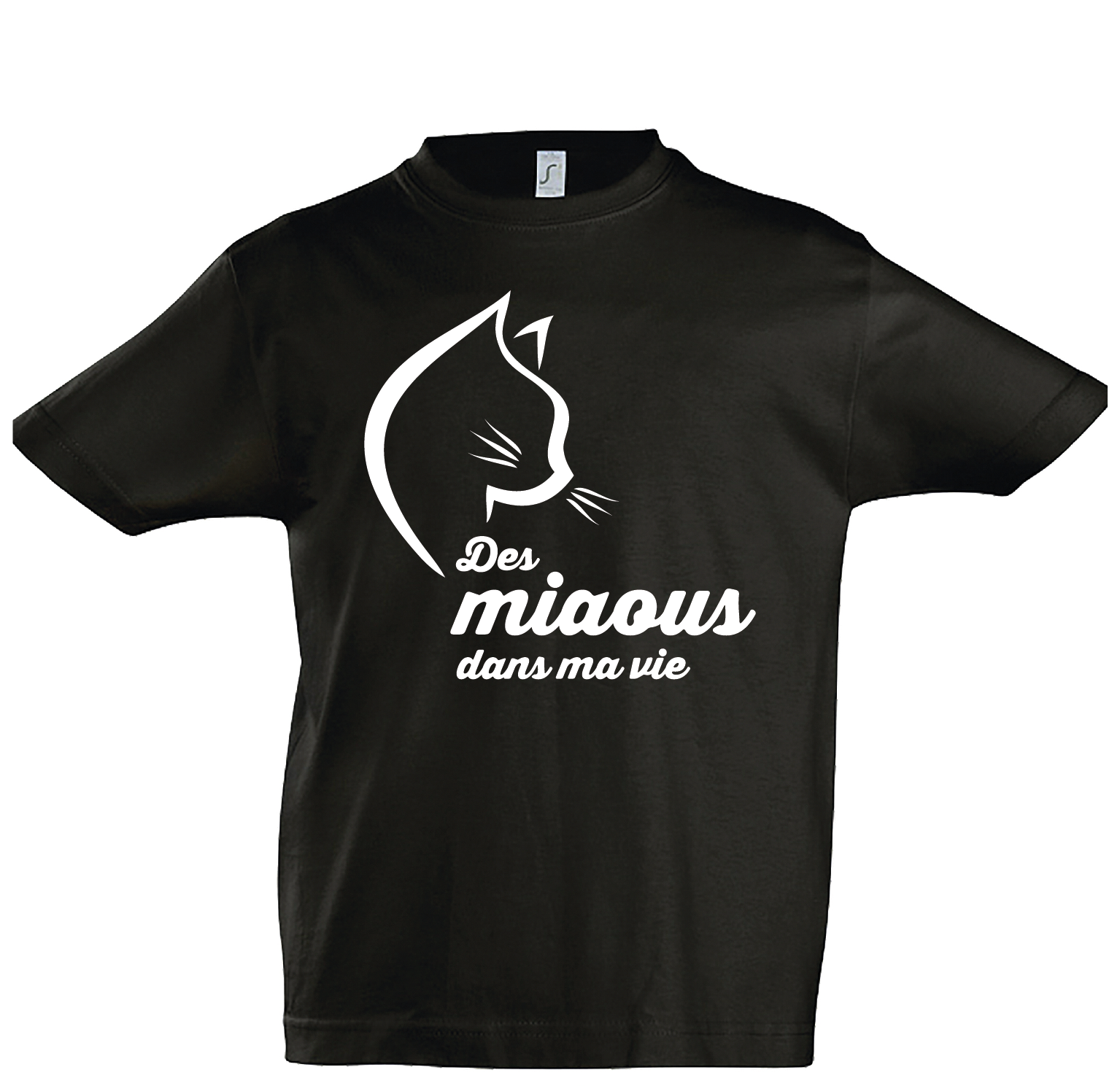 THSIRT ENF FRANCAIS MARS 2022-27