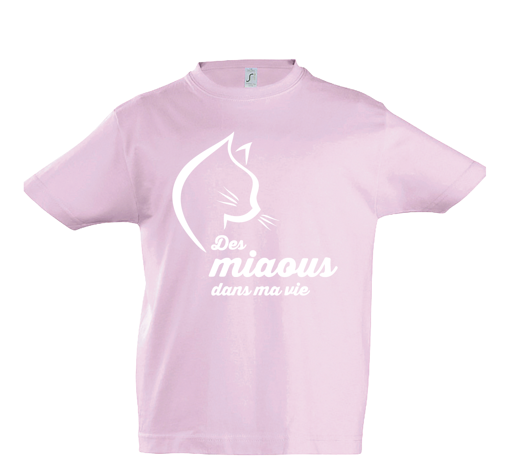 THSIRT ENF FRANCAIS MARS 2022-29